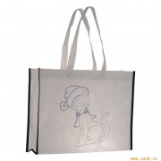 <b>时尚创意手提袋</b>