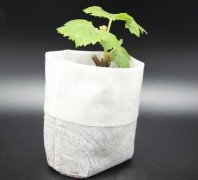 <b>无纺布种植袋钉子多少钱一个？它的优缺点是什</b>