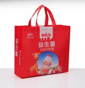 <b>定做无纺布袋要注意哪方面的问题</b>