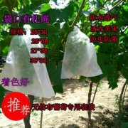 <b>无纺布葡萄套袋_透气吗?</b>