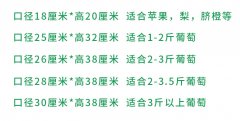 无纺布葡萄套袋