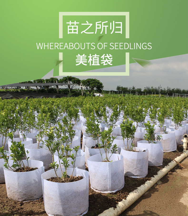 控根器_01